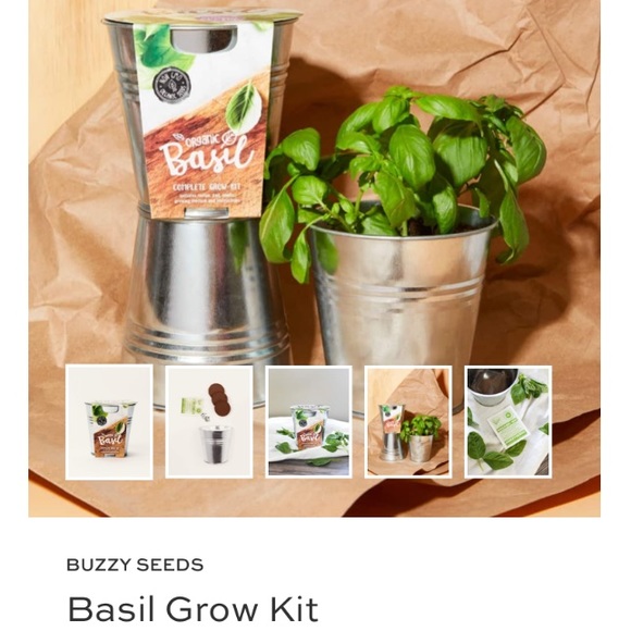 NEW Organic Basil Grow Kit - Picture 2 of 6